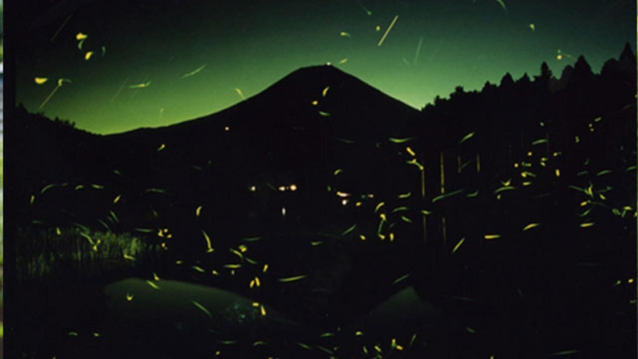 Kyukamura Fuji Fujinomiya Esterno foto